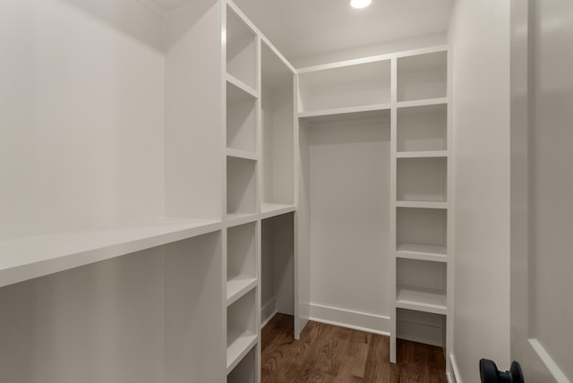spacious closet with dark wood finished floors