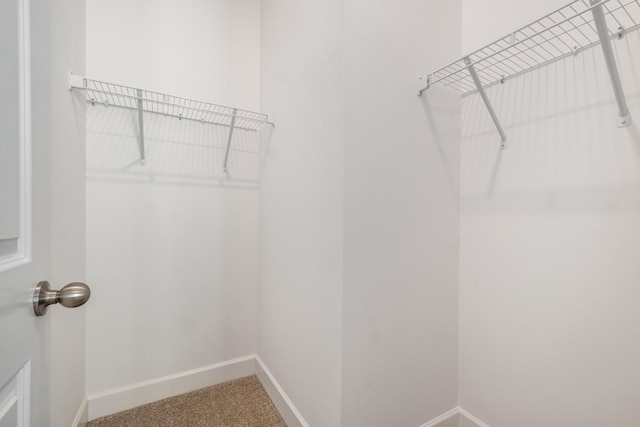 2053 Kirkwall Dr, Nolensville, TN 37135 - walk in closet featuring carpet floors