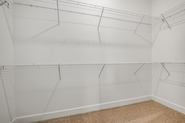 2053 Kirkwall Dr, Nolensville, TN 37135 - walk in closet featuring carpet