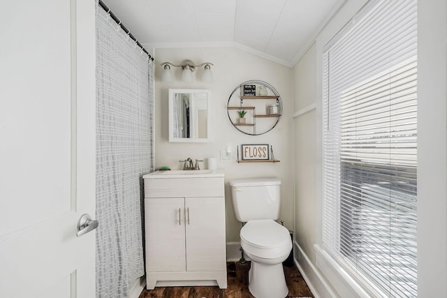 bathroom with lofted ceiling, toilet, wood finished floors, vanity, and a wealth of natural light