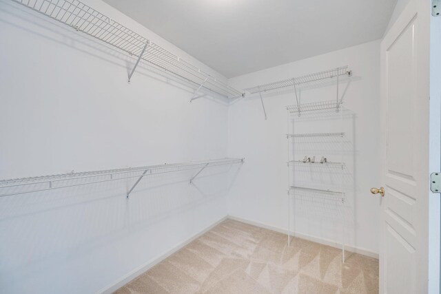 spacious closet featuring light carpet