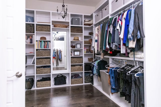 walk in closet with wood finished floors