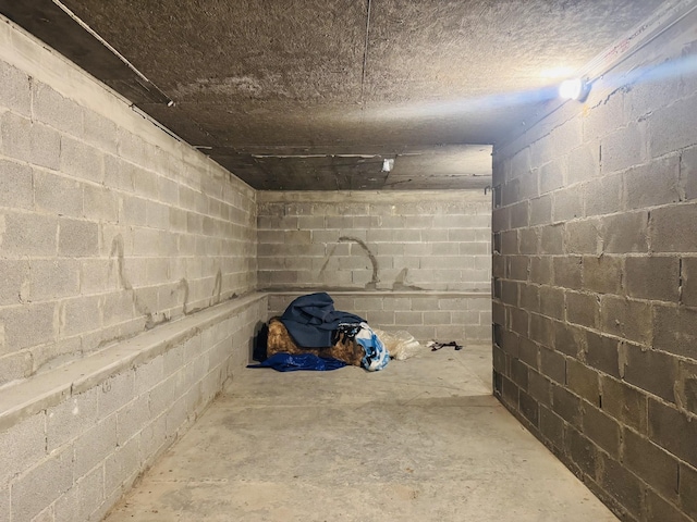 unfinished basement with concrete block wall