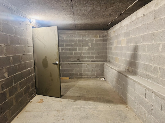 unfinished below grade area with concrete block wall