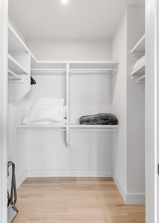 walk in closet featuring wood finished floors