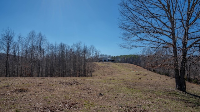 view of local wilderness featuring a wooded view