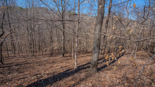 view of landscape featuring a wooded view