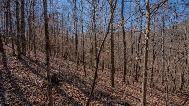 view of nature with a wooded view