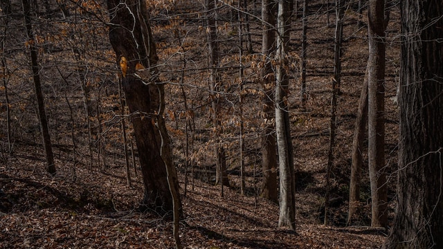 view of landscape