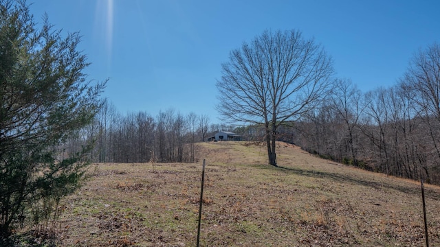 view of yard with a view of trees