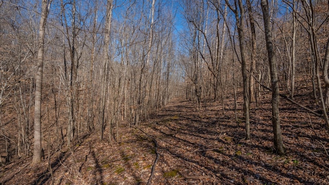 view of landscape with a wooded view