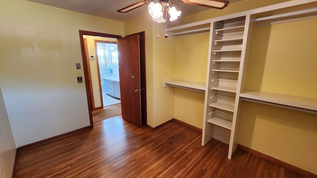 interior space featuring ceiling fan and wood finished floors