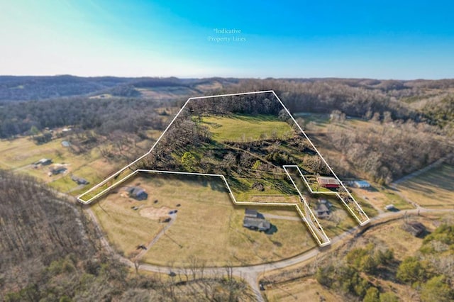 61 Kemp Hollow Rd, Pleasant Shade TN, 37145 land for sale