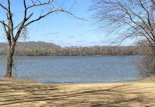 view of water feature featuring a forest view