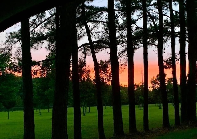 view of nature at dusk