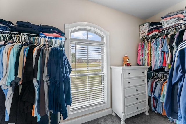 walk in closet featuring carpet flooring