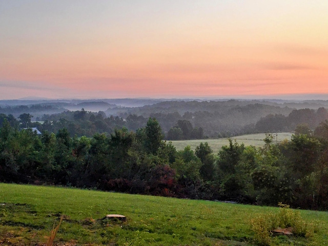 property view of mountains featuring a forest view