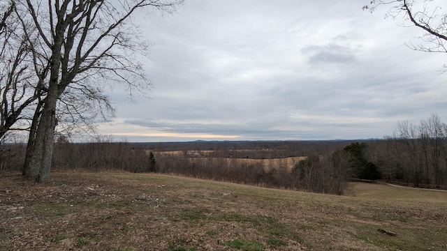 view of yard with a rural view