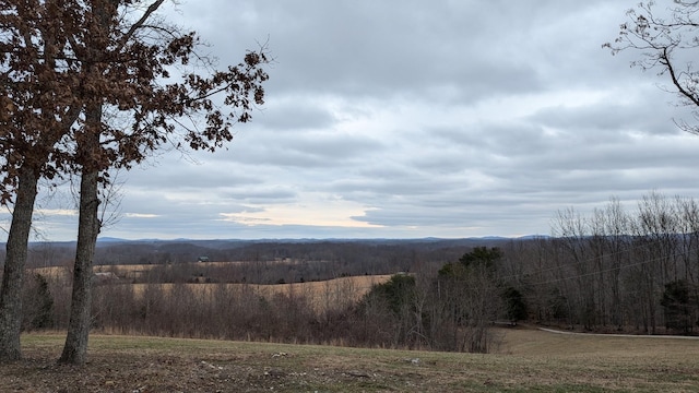 property view of mountains featuring a wooded view