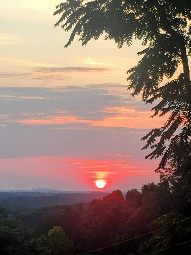 view of nature at dusk