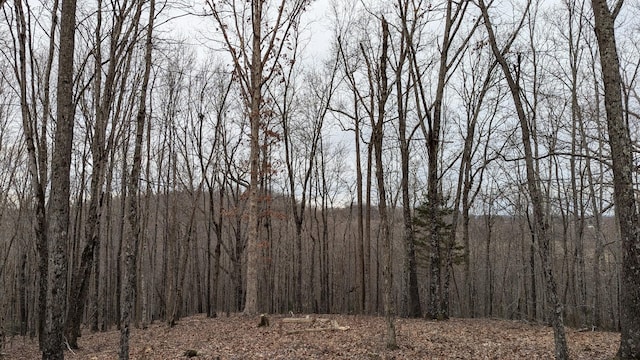 view of local wilderness with a forest view