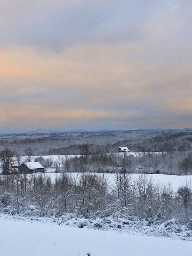 view of yard covered in snow