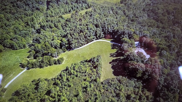 birds eye view of property with a forest view