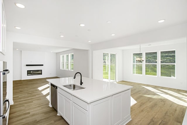 kitchen featuring a glass covered fireplace, light wood-style flooring, open floor plan, a sink, and stainless steel dishwasher