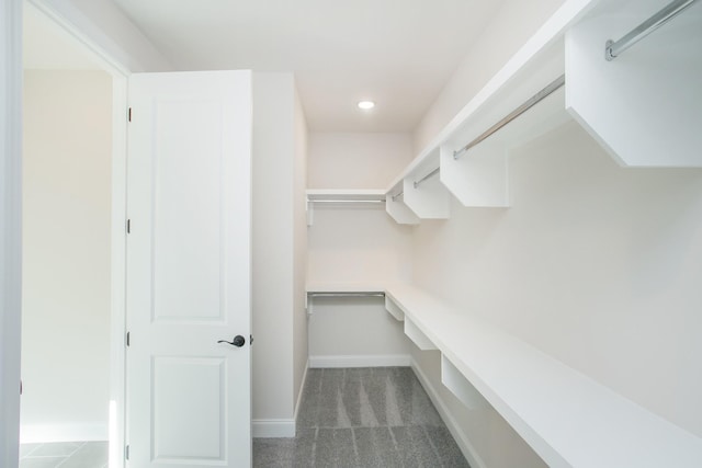 spacious closet with carpet