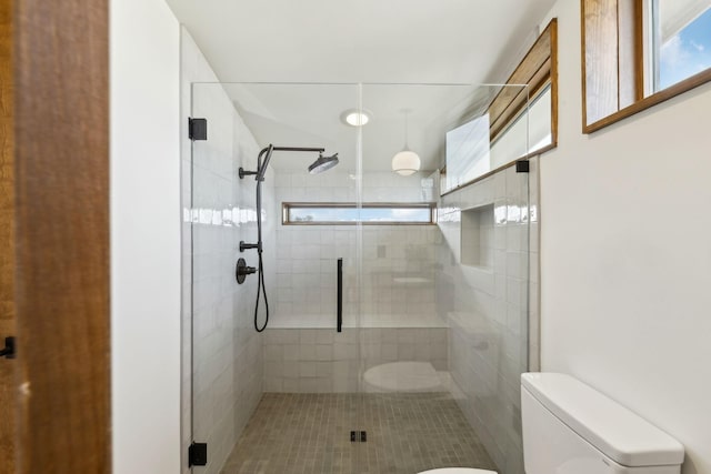 bathroom with toilet, a stall shower, and a wealth of natural light