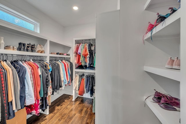 spacious closet featuring wood finished floors