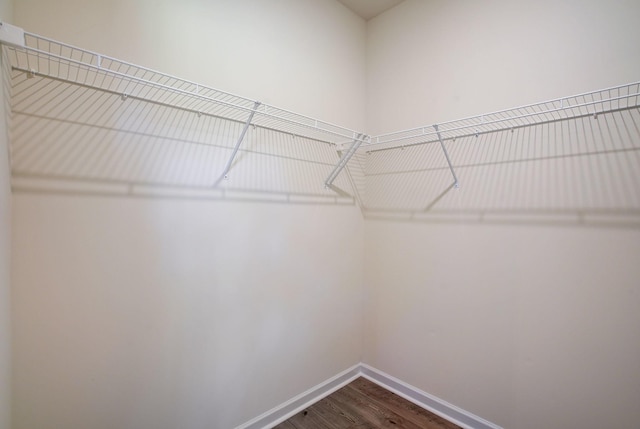 walk in closet with dark wood-style floors