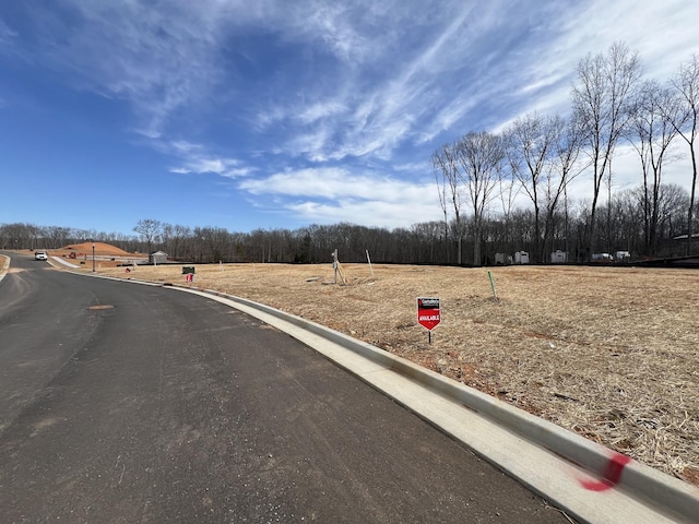 view of road with curbs