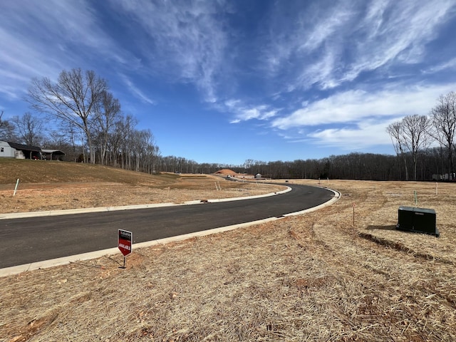 view of road featuring curbs