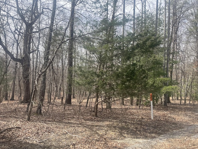 Listing photo 2 for 0 Deep Woods Rd, Sewanee TN 37375