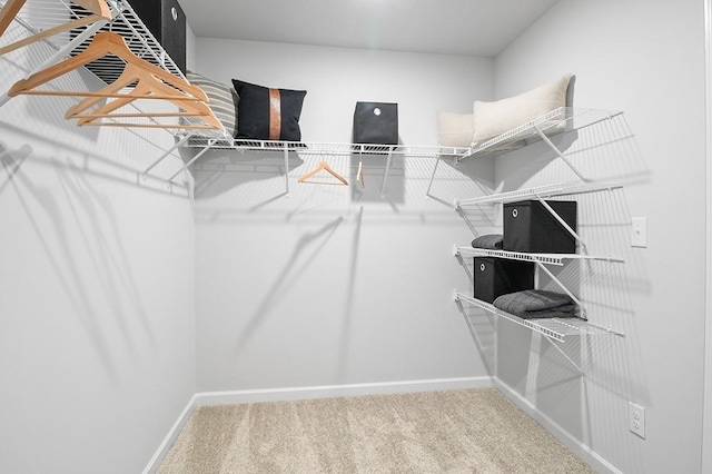 walk in closet with carpet