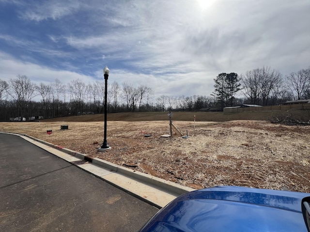 7228 Fairlawn Dr, Fairview, TN 37062 - view of yard