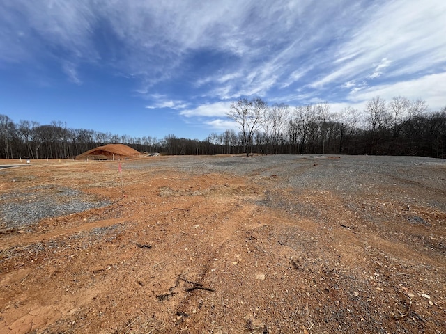 7228 Fairlawn Dr, Fairview, TN 37062 - view of yard
