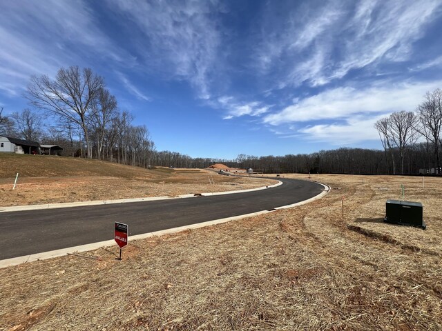 7228 Fairlawn Dr, Fairview, TN 37062 - view of asphalt road with curbs