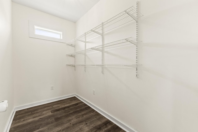 spacious closet with dark wood-type flooring