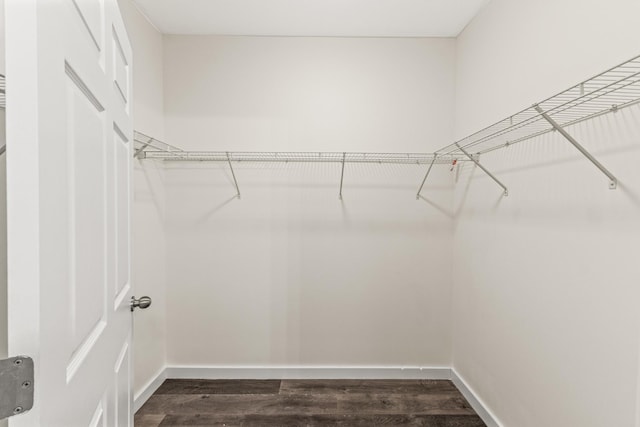 spacious closet with dark wood-style floors