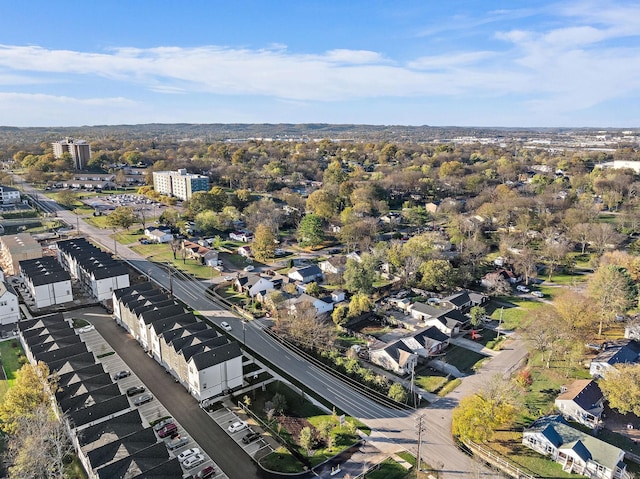 bird's eye view