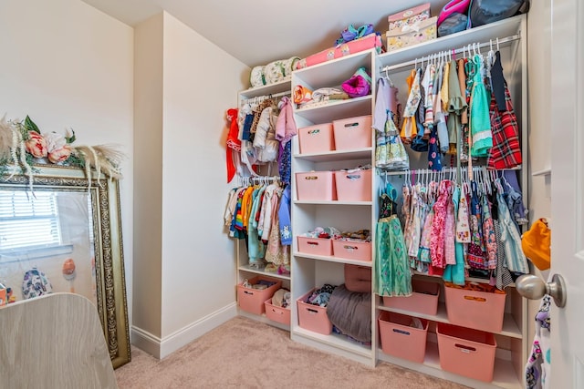 3038 Farmhouse Dr, Franklin, TN 37067 - view of closet