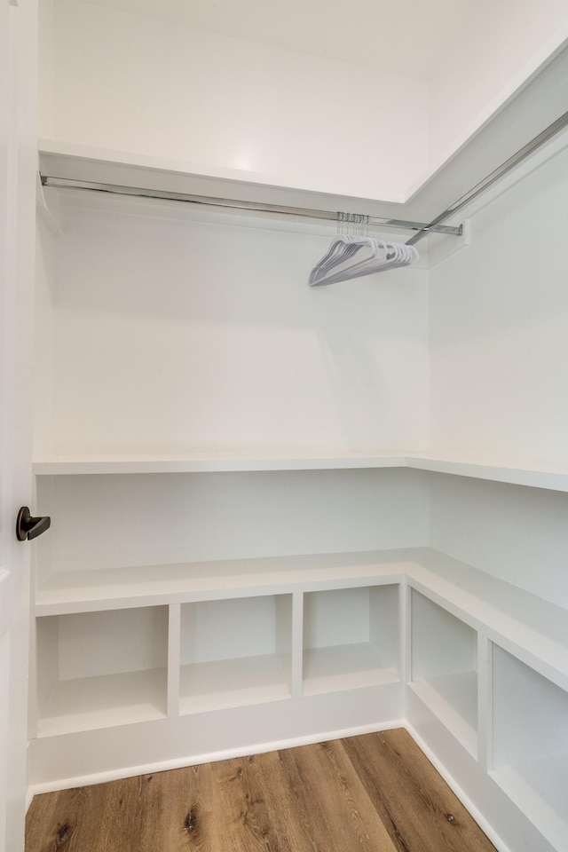 walk in closet featuring dark wood finished floors