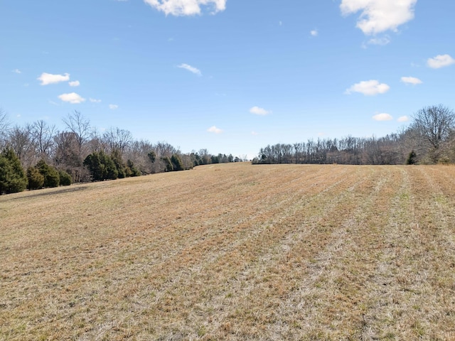 0 Iron Bridge Rd, Columbia TN, 38401 land for sale