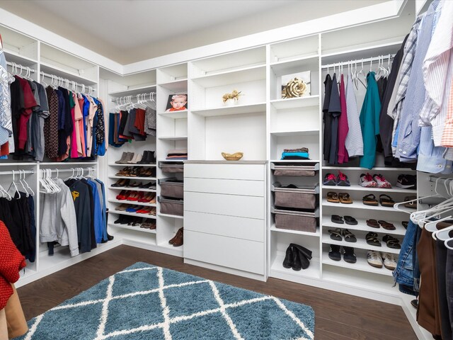 walk in closet featuring wood finished floors