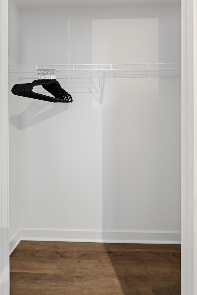 walk in closet featuring wood finished floors