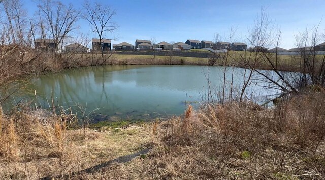 water view with a residential view