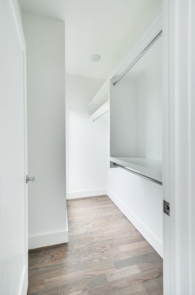 walk in closet featuring wood finished floors