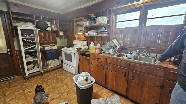 kitchen featuring ornamental molding, white range with electric stovetop, a healthy amount of sunlight, and a sink